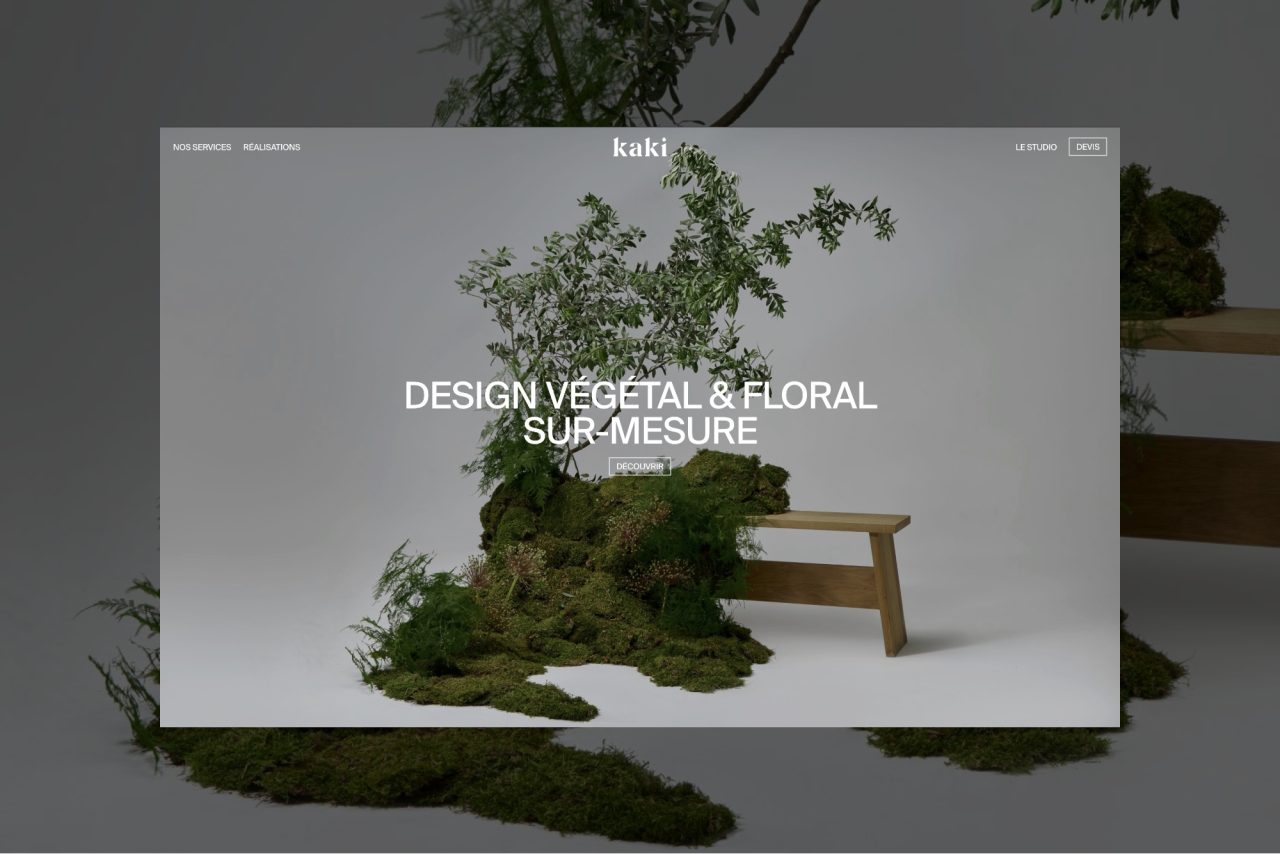 Kaki - Krabb