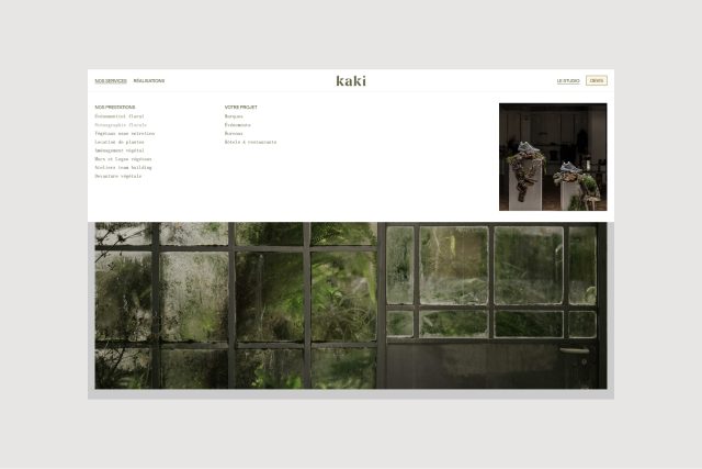 Kaki - Krabb